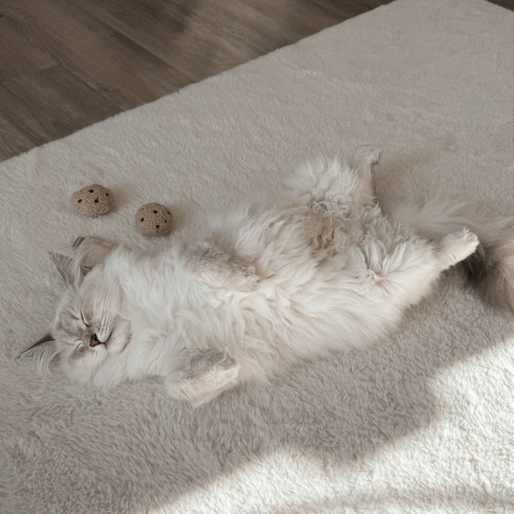 Kitty Tea Time Cat Toy