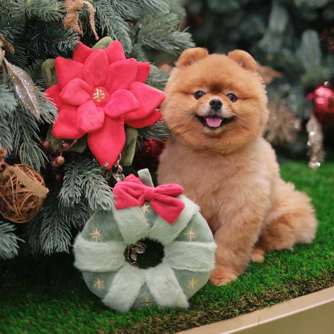 Snuffle Poinsettia Nosework Toy