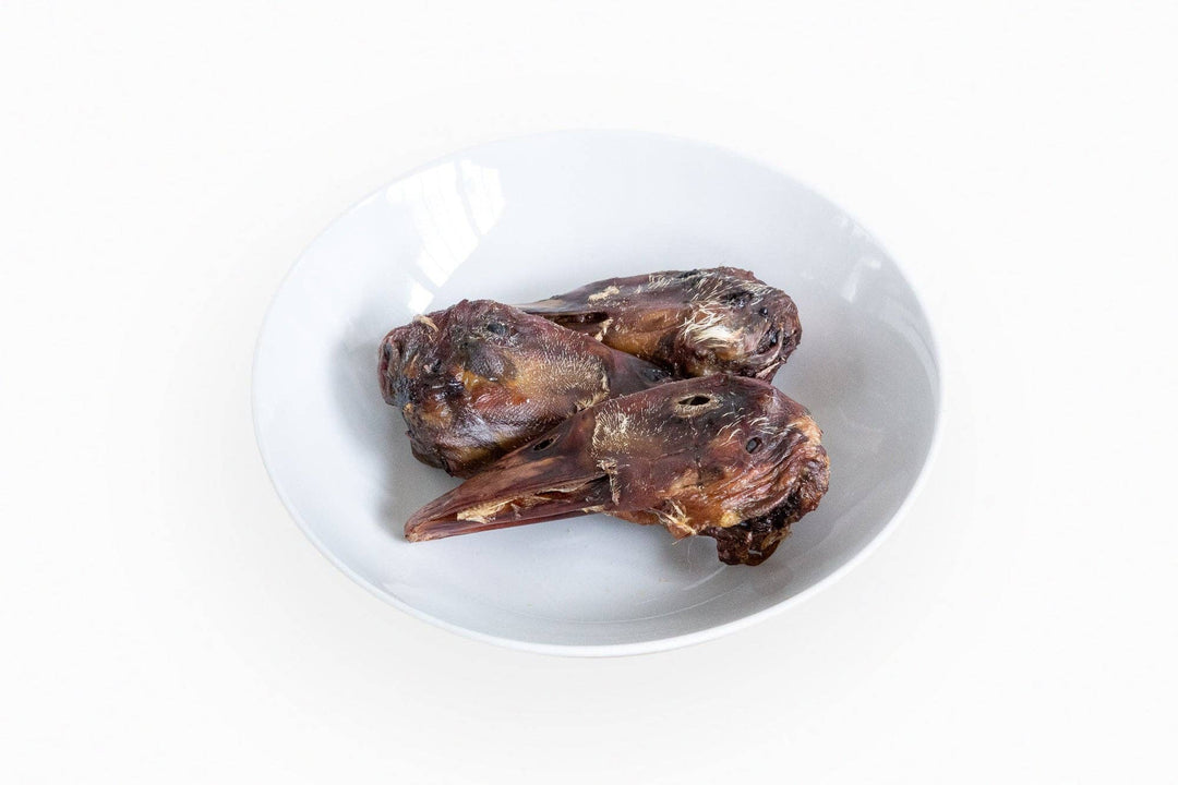 Dehydrated Duck Head