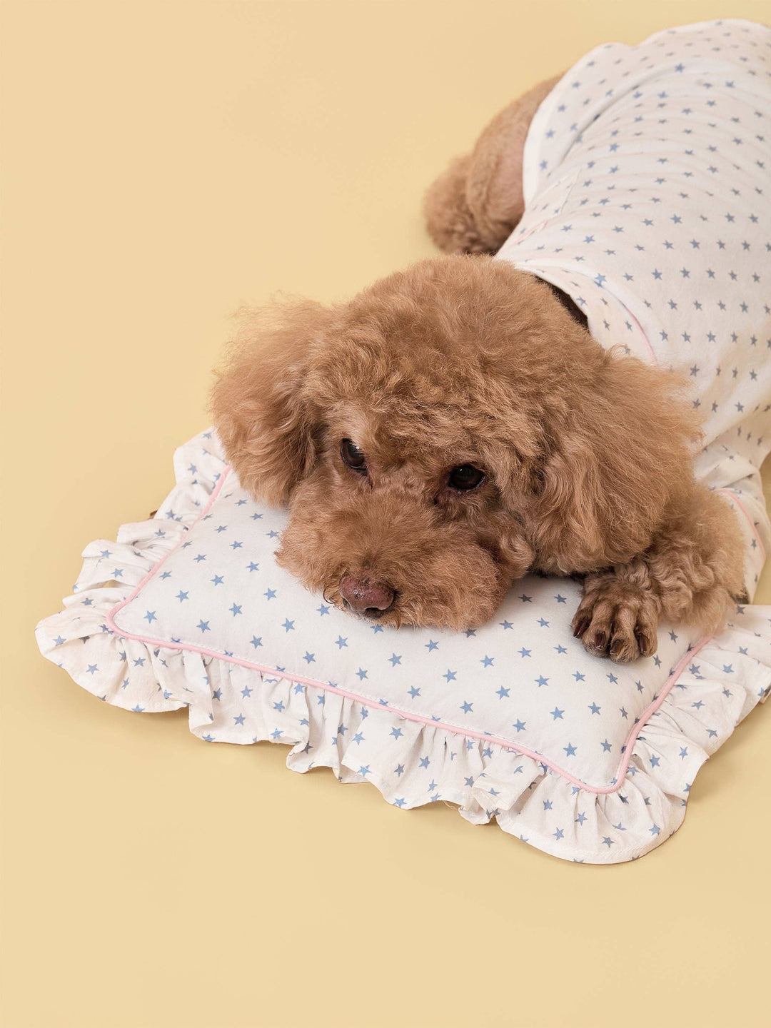 Slumber Party Dog Pajama Set