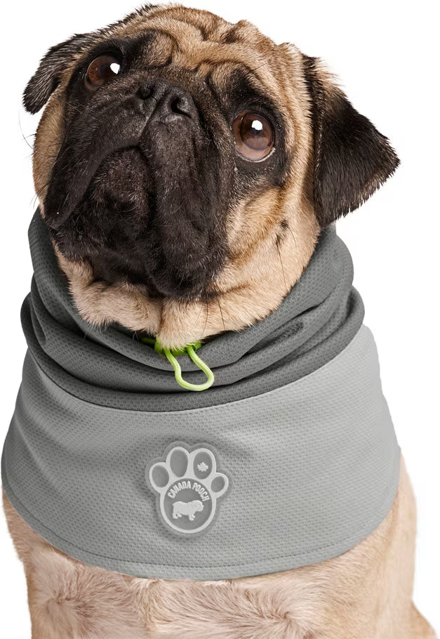 Max Chill Cooling Snood