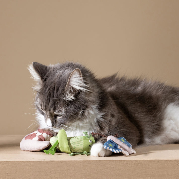 Catch Me If You Can Canvas 3PC Cat Toy Set