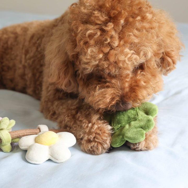 Strawberry Vine Rope Toy
