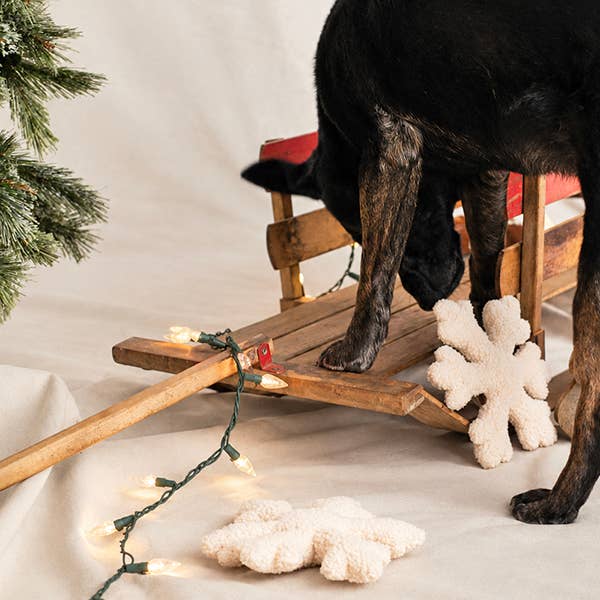Snowflake Plush Dog Toy