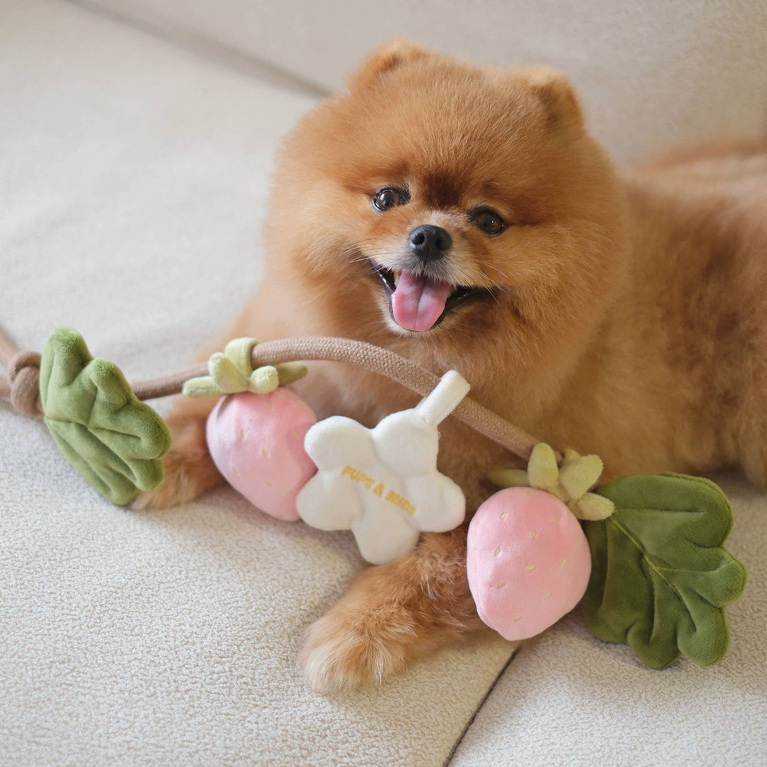 Strawberry Vine Rope Toy