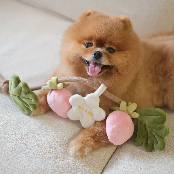 Strawberry Vine Rope Toy