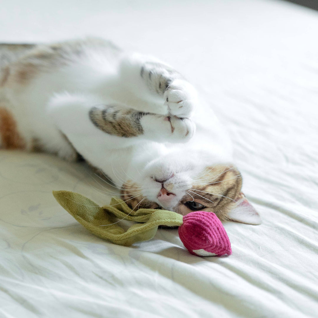 Kitty Radish Cat Toy