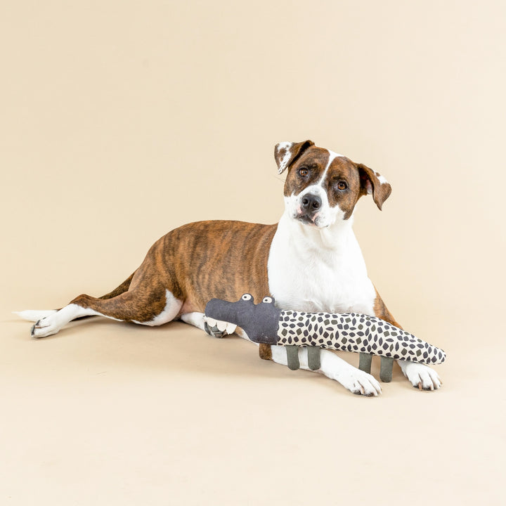Earth Friendly Canvas Dog Toy Croc My World