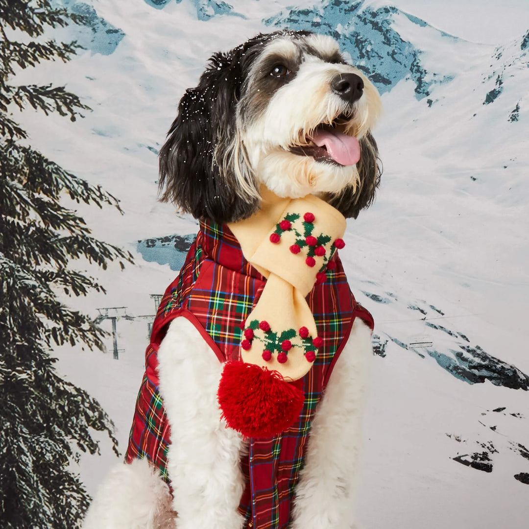 Holly Bobble Knit Holiday Dog Scarf