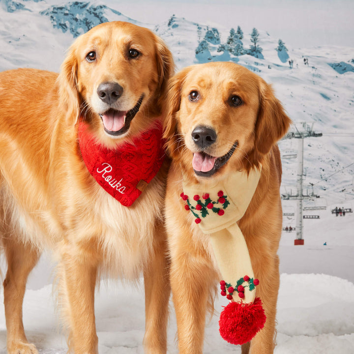 Holly Bobble Knit Holiday Dog Scarf