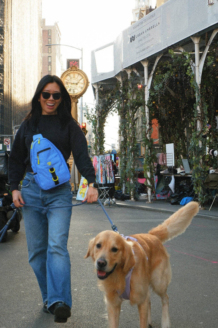 Molo Dog Walking Bag