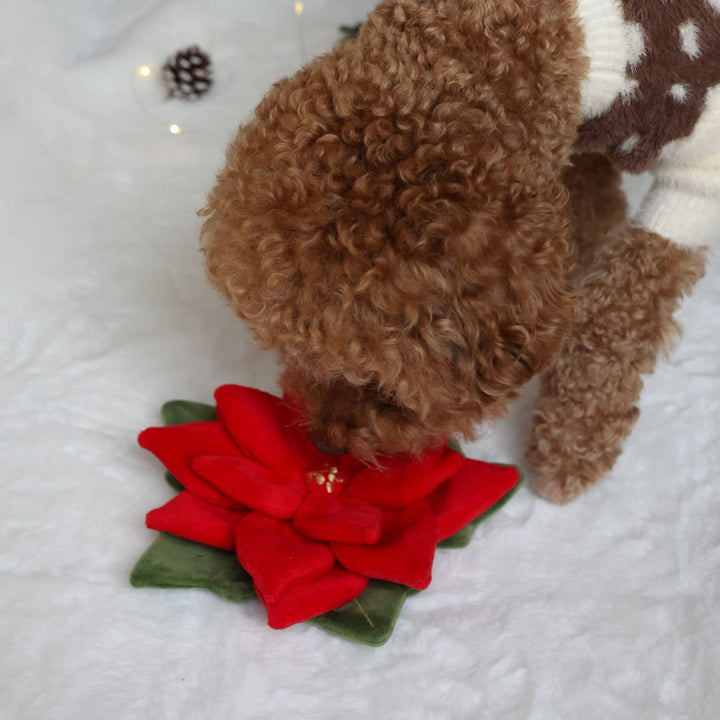 Snuffle Poinsettia Nosework Toy