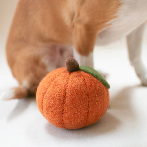Fall Pumpkin Wool Dog or Cat Toy