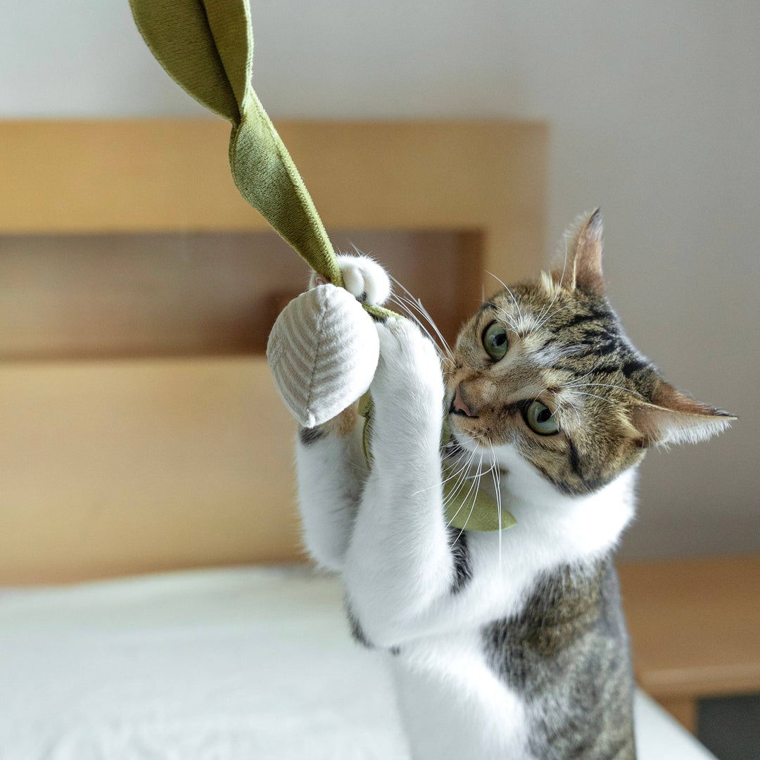 Kitty Radish Cat Toy