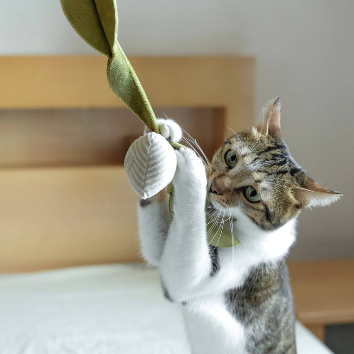 Kitty Radish Cat Toy