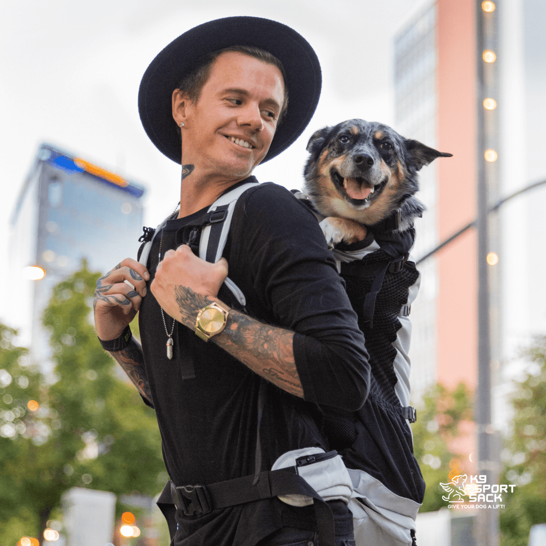 Knavigate | Advanced Dog Carrier with Internal Frame &amp; Hip Belt