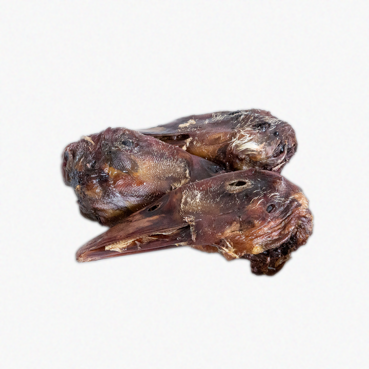 Dehydrated Duck Head