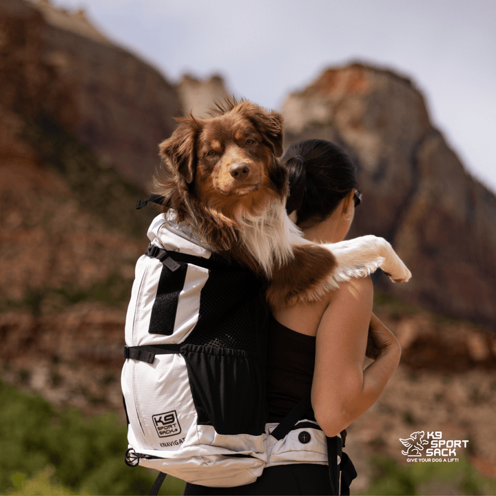 Knavigate | Advanced Dog Carrier with Internal Frame &amp; Hip Belt