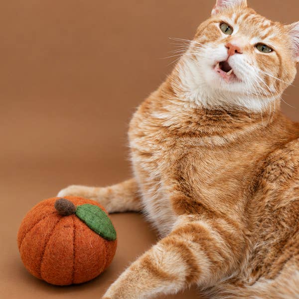 Fall Pumpkin Wool Dog or Cat Toy
