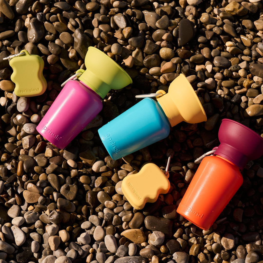 Dog Travel Water Bottle Limited-Edition: Mediterranean