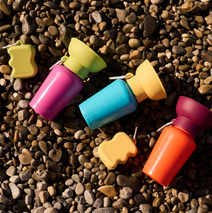 Dog Travel Water Bottle Limited-Edition: Mediterranean