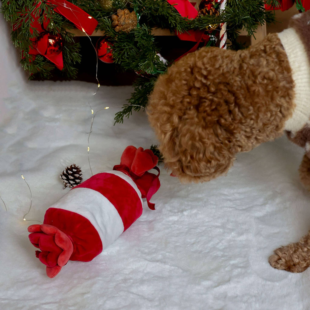 Peppermint Candy Nosework Toy