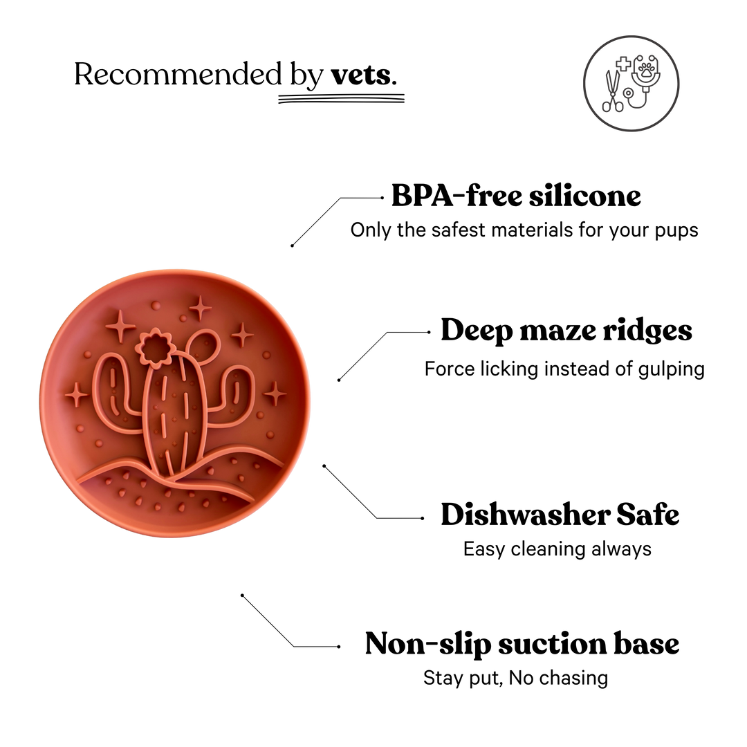 Cactus Slow Feeder - Terra