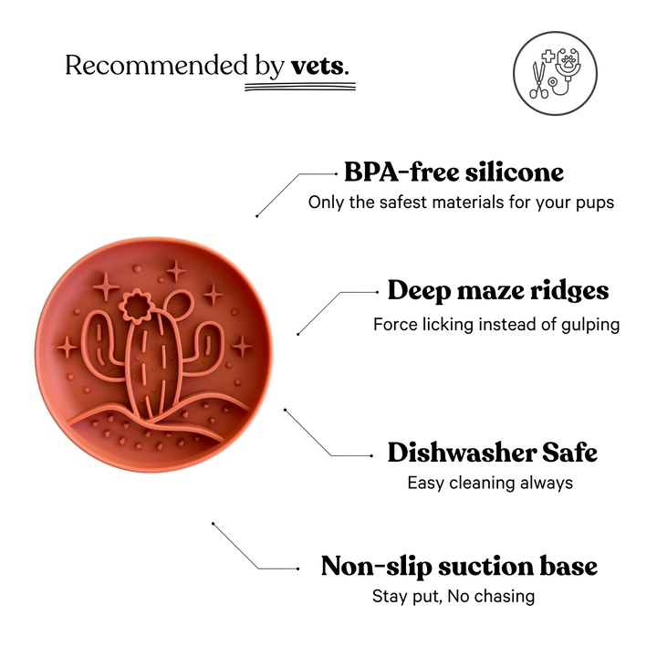 Cactus Slow Feeder - Terra