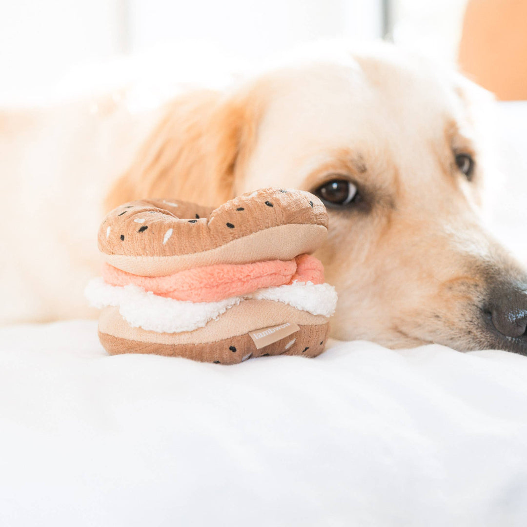 Bagel + Pickle Enrichment Dog Toy - Snuffle Toy Set
