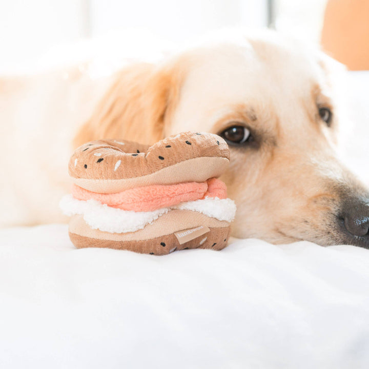 Bagel + Pickle Enrichment Dog Toy - Snuffle Toy Set