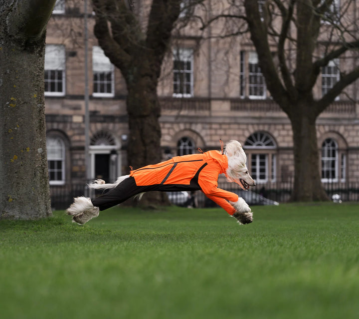 Fjord Overall Raincoat