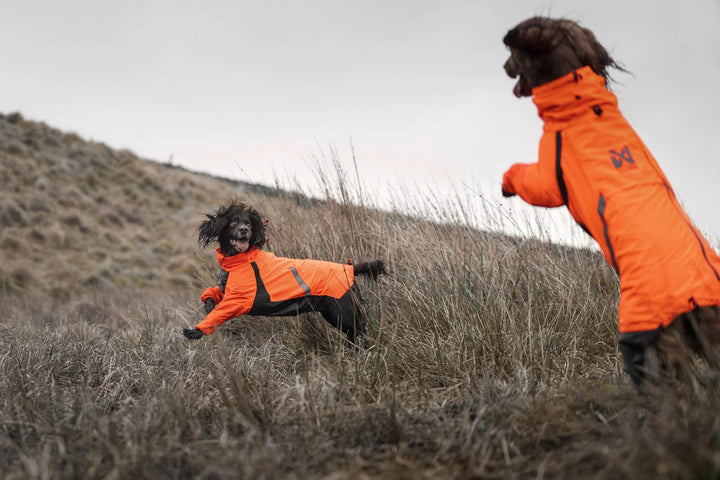 Fjord Overall Raincoat