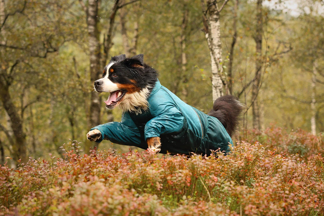 Fjord Overall Raincoat