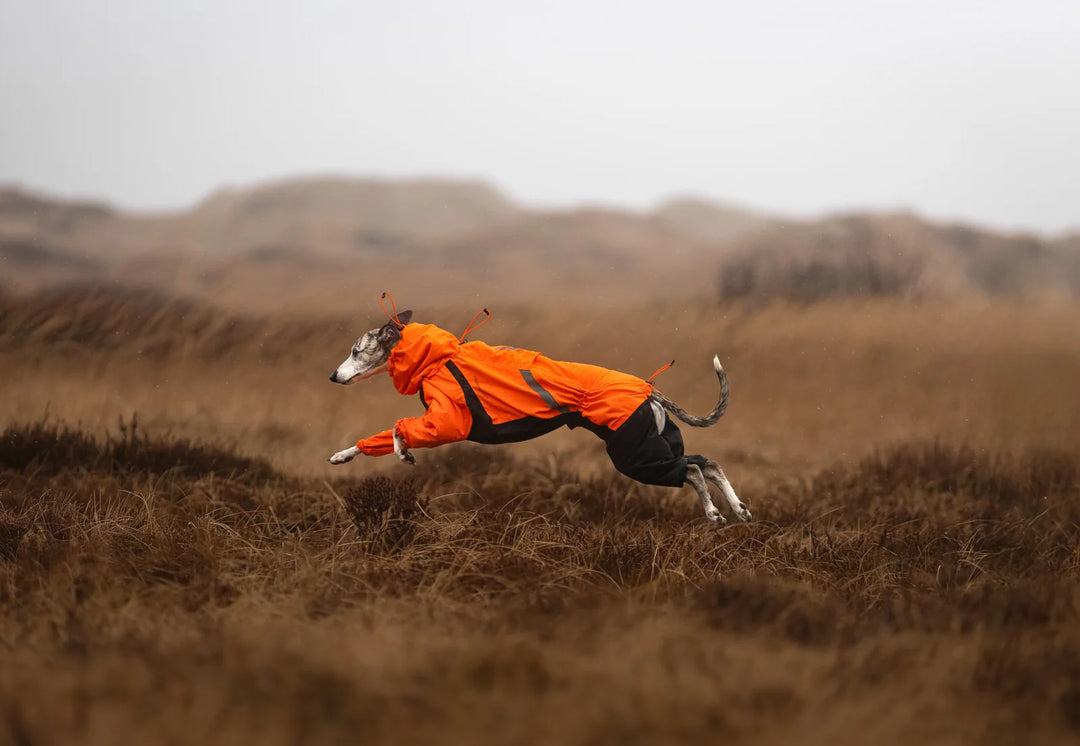 Fjord Overall Raincoat