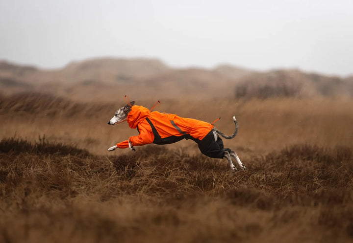 Fjord Overall Raincoat