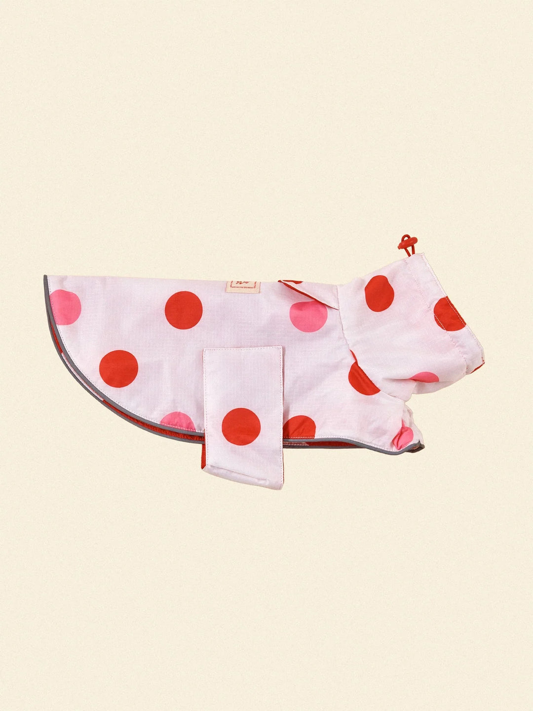 Ladybug Raincoat