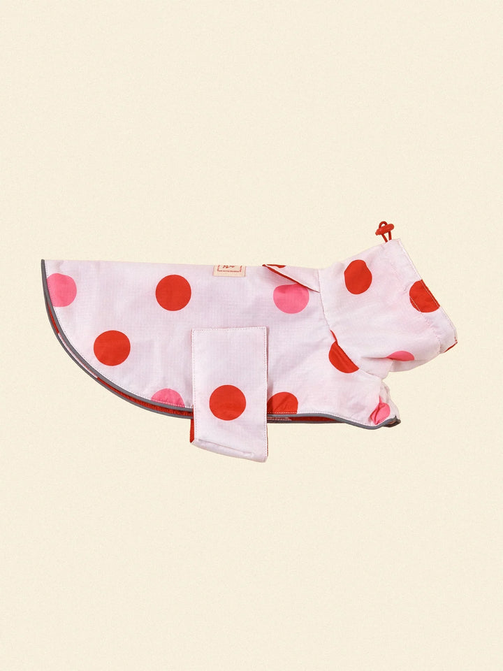 Ladybug Raincoat