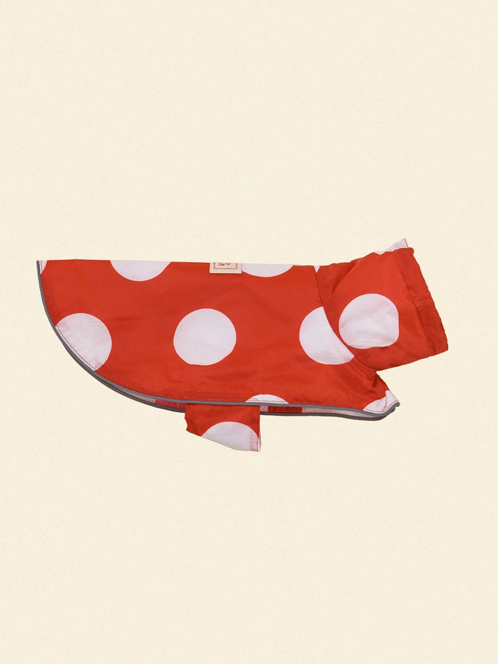 Ladybug Raincoat
