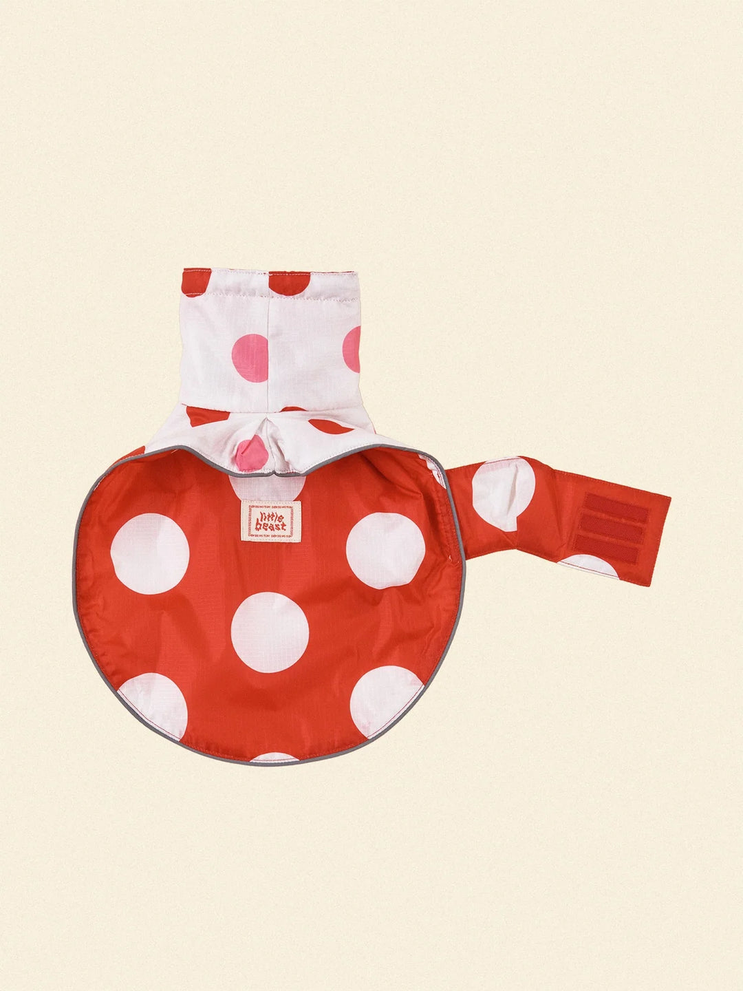Ladybug Raincoat