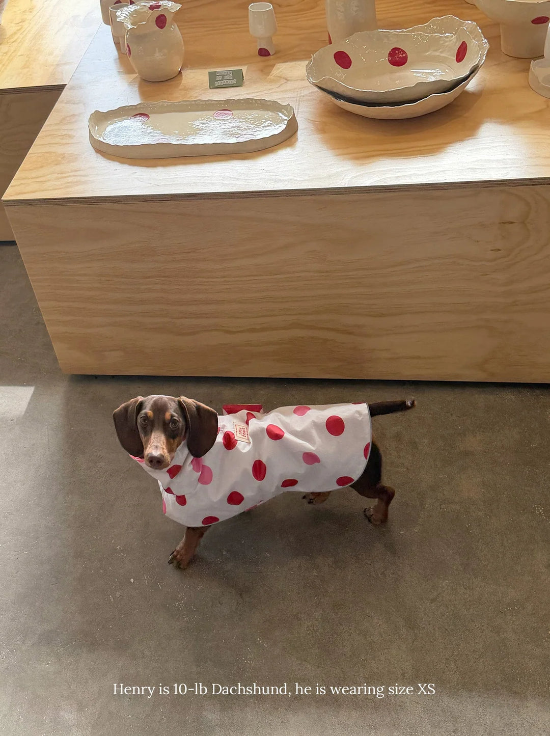 Ladybug Raincoat