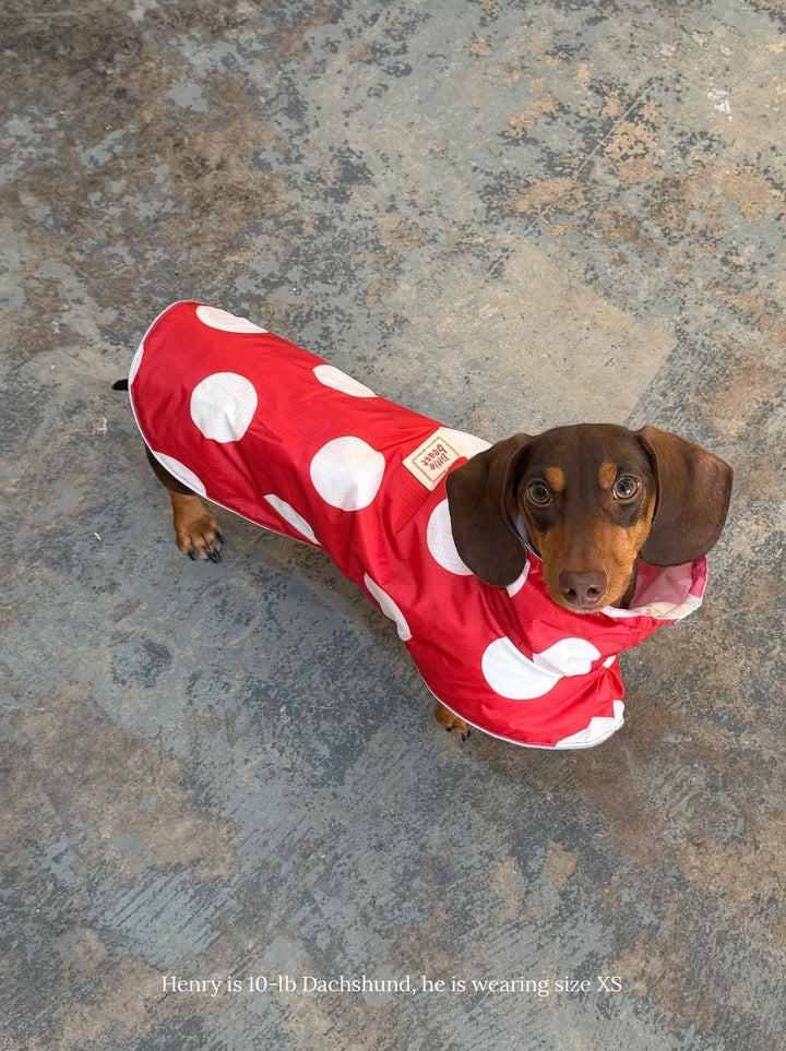 Ladybug Raincoat