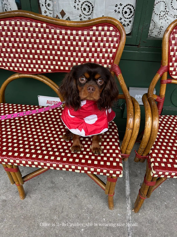 Ladybug Raincoat