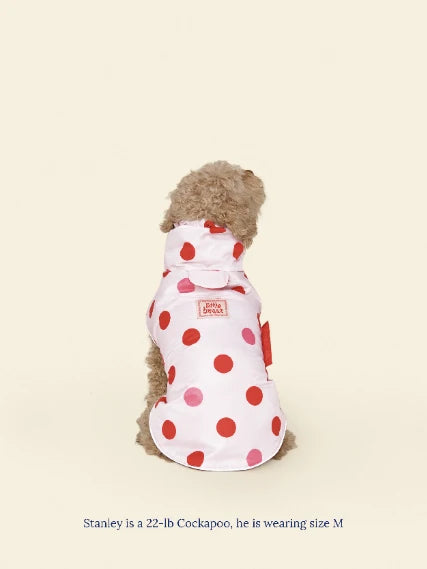 Ladybug Raincoat