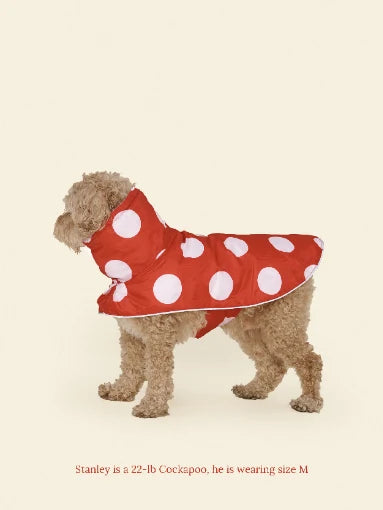Ladybug Raincoat