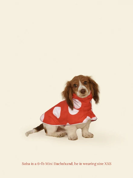 Ladybug Raincoat