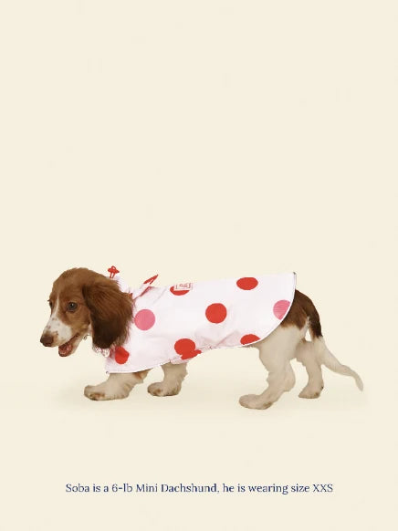 Ladybug Raincoat