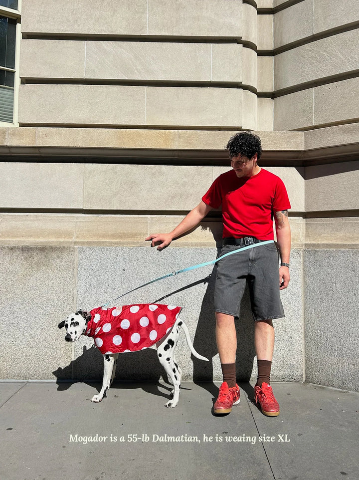 Ladybug Raincoat