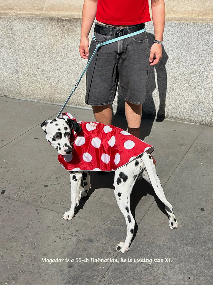 Ladybug Raincoat