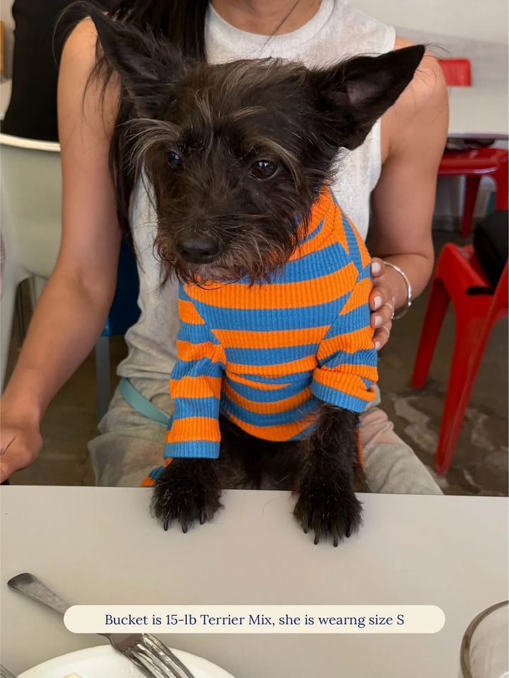 OG Onesie