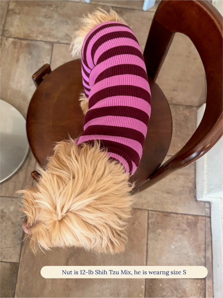 PBJ Onesie